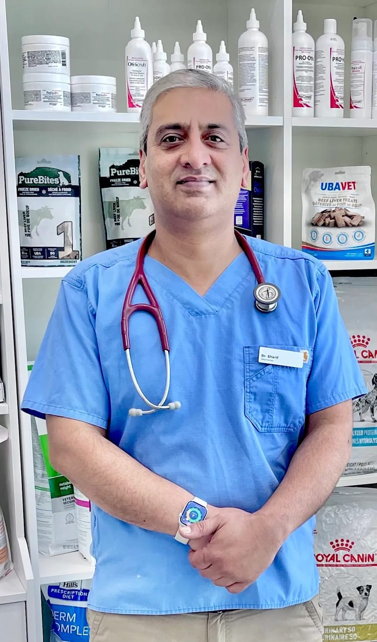 Dr. Shahzad Sharif